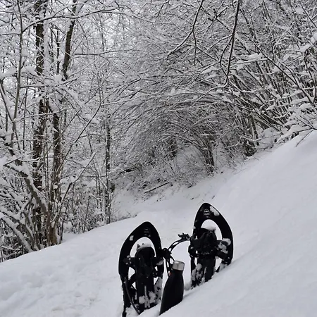 Lejlighed Solferino *