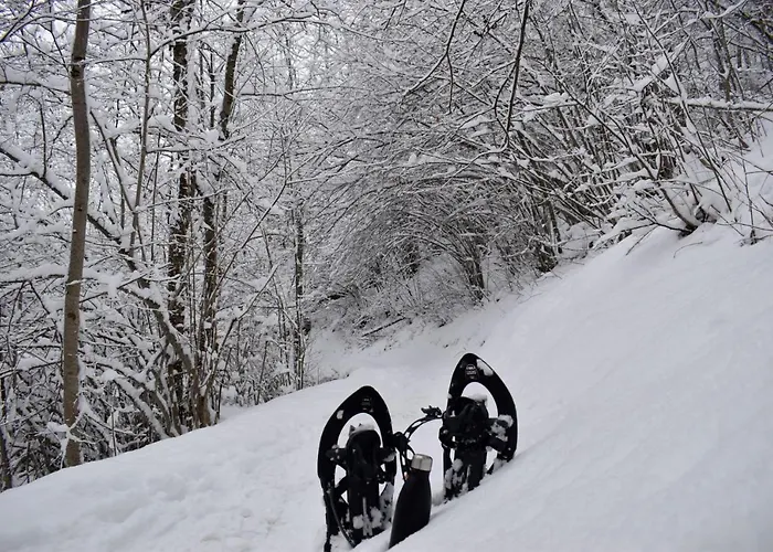 Lejlighed Solferino *